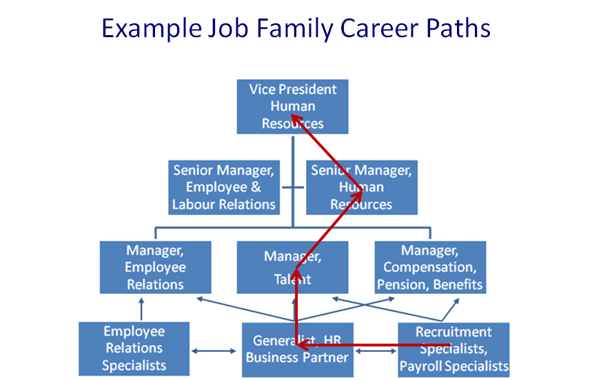 30 Potential Career Paths With a Degree in Project Management